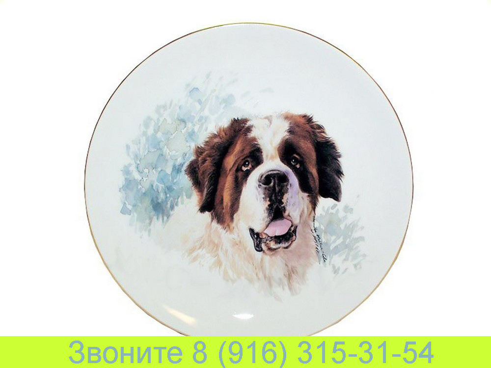 Тарелка настенная 24 см Питомцы Собаки Сенбернар