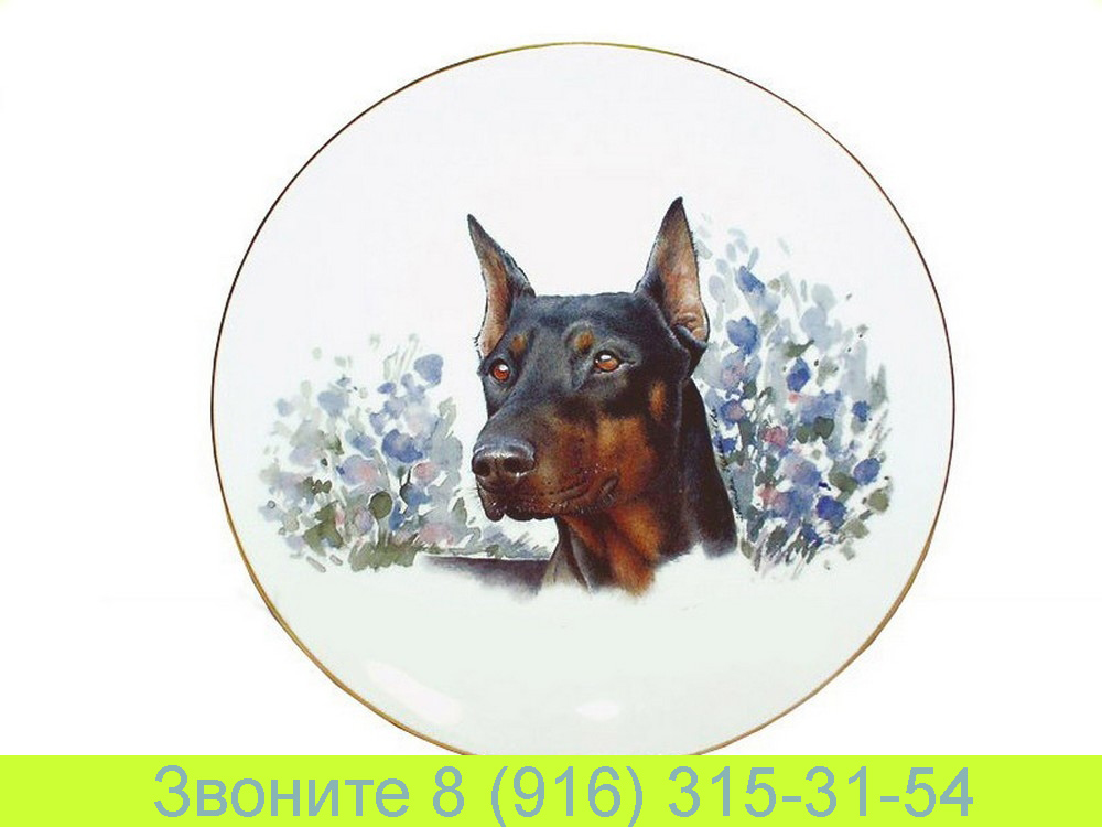 Тарелка настенная 24 см Питомцы Собаки Доберман