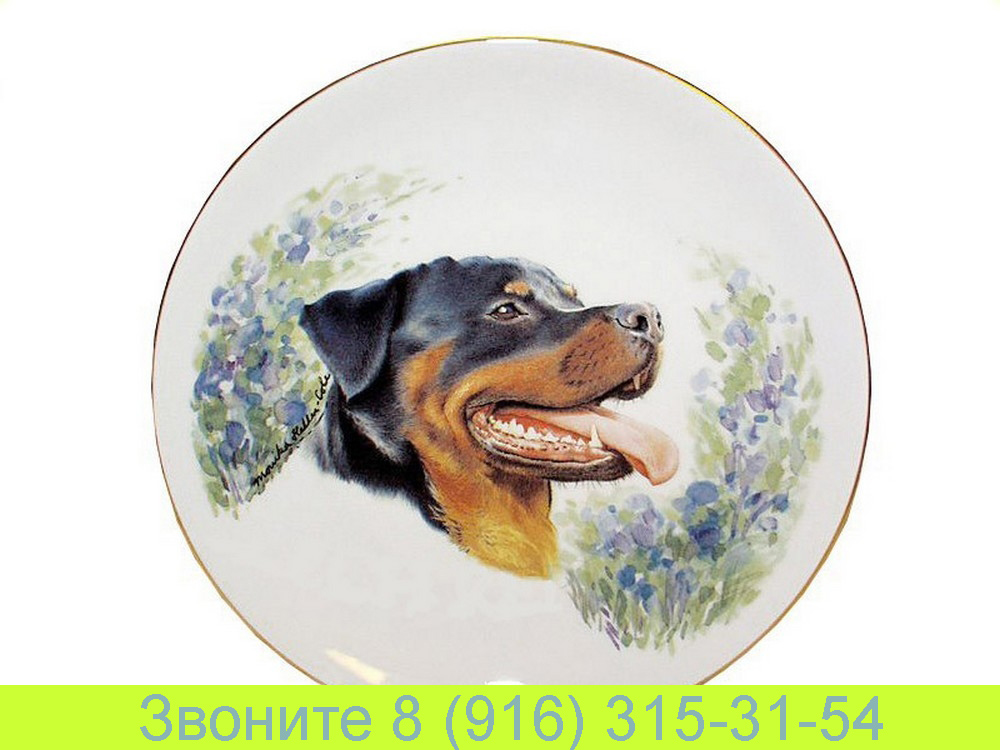 Тарелка настенная 24 см Питомцы Собаки Ротвейлер