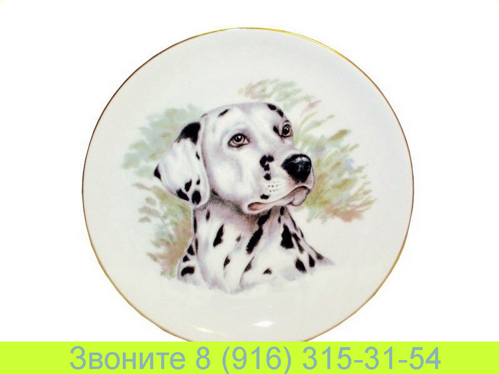 Тарелка настенная 24 см Питомцы Собаки Далматинец